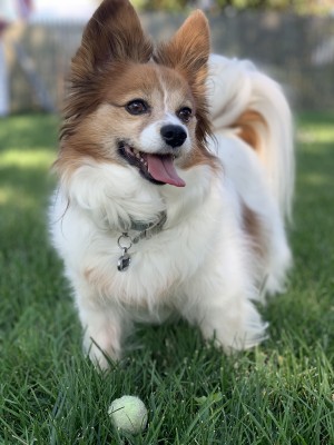 Animals! We are the biggest animal lovers and donate to local shelters and rescue organizations monthly. We are also pretty big fans of this guy ❤️