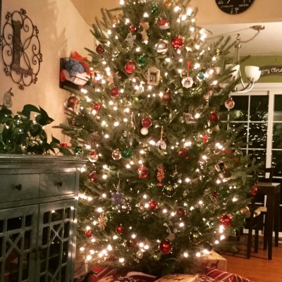 The holidays, and especially Christmas. We go crazy decorating our house And we pick out our tree at a local Farm each year. It’s the best!