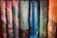 We are huge Harry Potter nerds. I have read all the books and Wyatt is finally working through the books after falling in love with the movies.