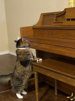 Music!