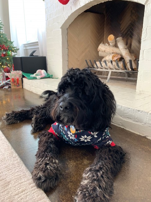 Handsome Chase wearing PJs that matched the family for Christmas. We're not saying he liked it...
