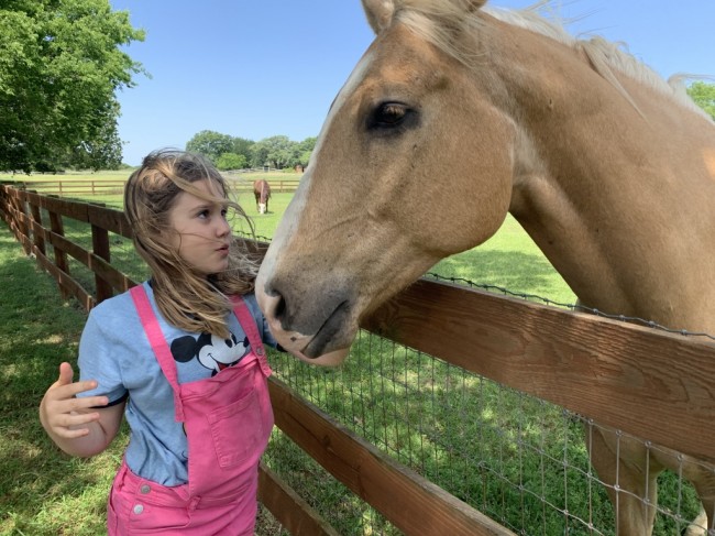 Katie has made friends with with our neighbor's horse, Colby.
