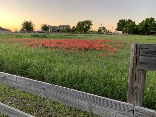 Our beautiful neighborhood.