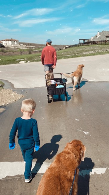 We have been going on family walks almost every day We have been going on family walks almost every day
