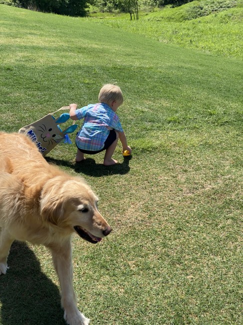 Hunting eggs Hunting eggs