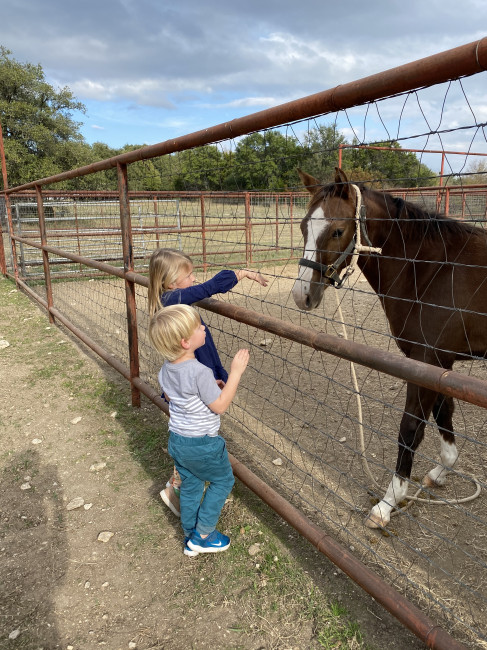 Petting one of the newest horses born on Ryan's aunt and uncle's ranch. The kids got to help feed all the animals on the ranch including horses, cows, goats, and some wild deer. Petting one of the newest horses born on Ryan's aunt and uncle's ranch. The kids got to help feed all the animals on the ranch including horses, cows, goats, and some wild deer.