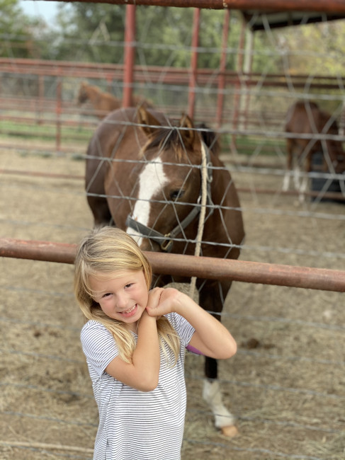 Marjorie was more interested in the younger horses that were a bit smaller. Marjorie was more interested in the younger horses that were a bit smaller.