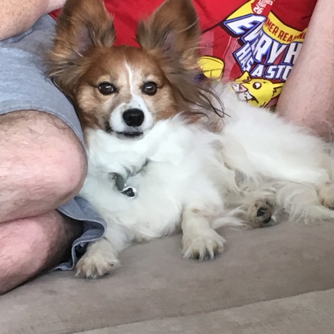 Bailey loves snuggling.