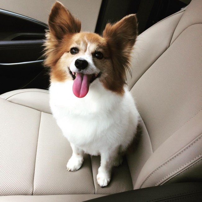 Showing off his fresh hair do.