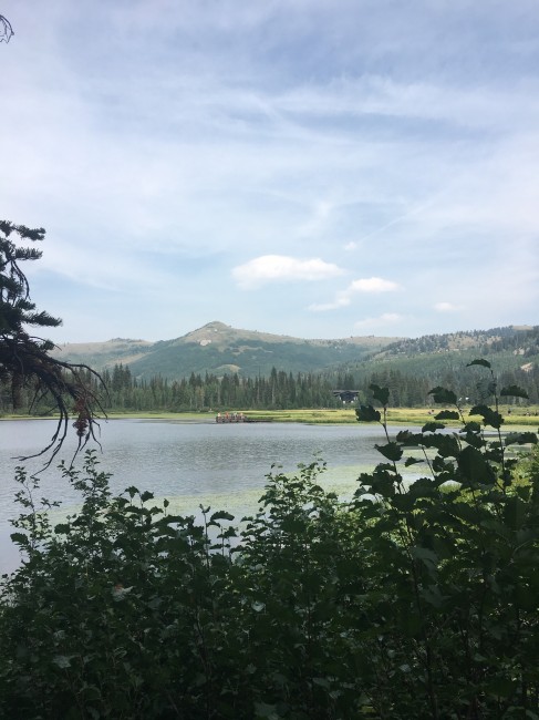 Gorgeous scenery while hiking in Utah.