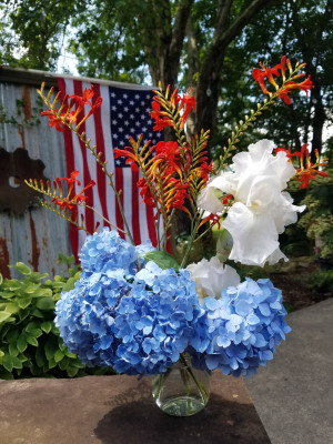 Happy 4th