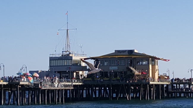 Santa Monica Pier pic from the beach view