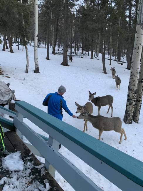 Michael feeding the deer at Angel Fire, NM