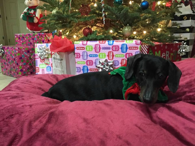 One of the best presents ever Miss Teddi Bear!