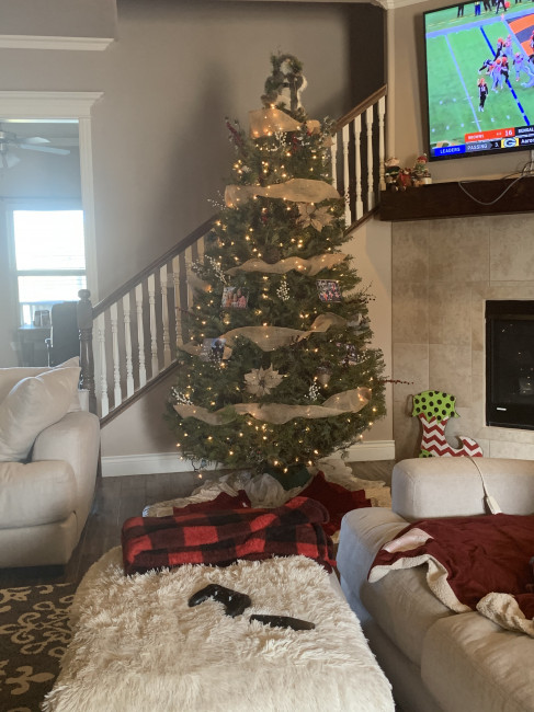 We love our real Christmas Trees from the Boy Scouts!