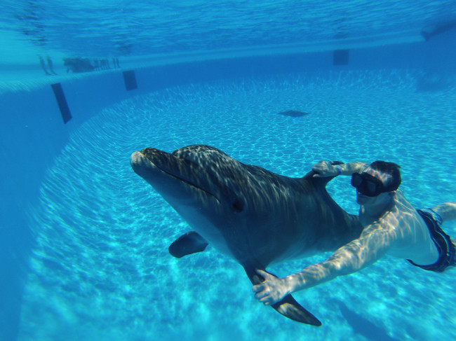 Michael taking a dive with the dolphins!