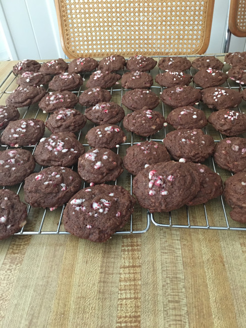David loves chocolate and mint. He found a great recipe and we made these wonderful cookies for Christmas. David loves chocolate and mint. He found a great recipe and we made these wonderful cookies for Christmas.