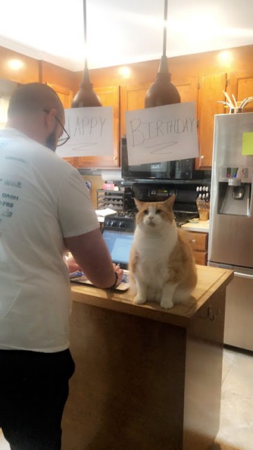 Stephen decorated their kitchen for Alex's birthday this year. Charlie was a big help...