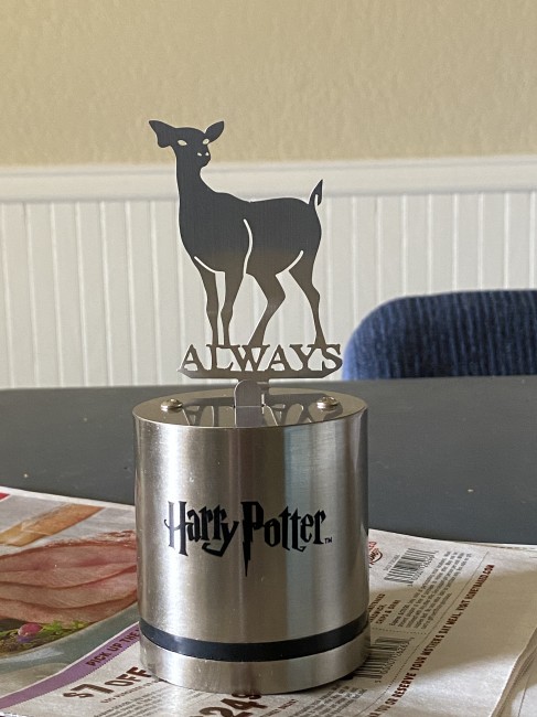To go along with the Harry Potter theme, here’s the night light we picked out.