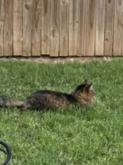 Edward relaxing in his backyard