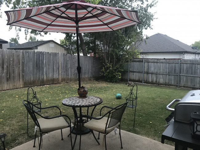 Our backyard is our sanctuary. There’s plenty of room to run around. If you look closely, you will see our cat playing in the yard.