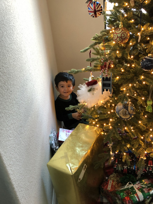Busted! Conner taking a peek before Christmas.