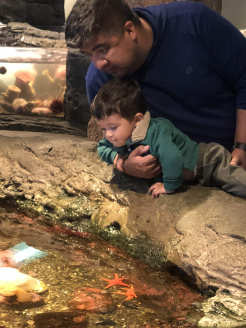 Jeff and Conner at the Seattle Aquarium...Conner wasn't sure about touching starfish.