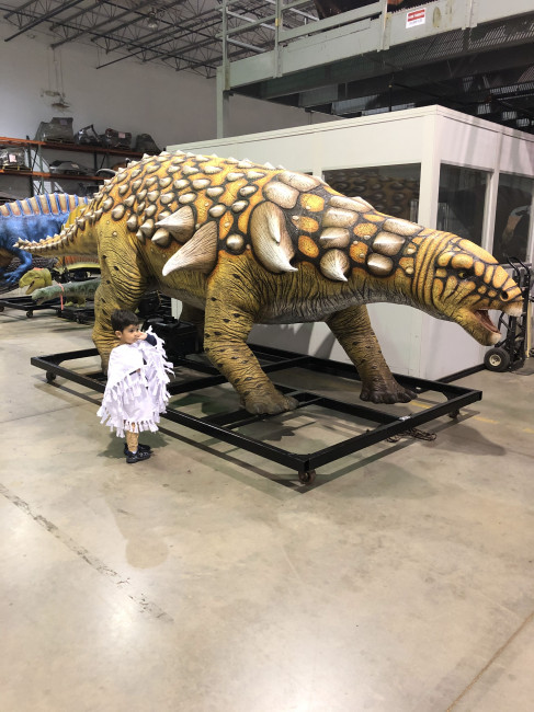 Conner tells me that this is an ankylosaurus...he knows all the dinosaurs!
