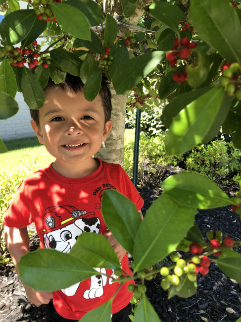 Conner loves this tree on our walks! He always wants to stop and walk underneath the branches.