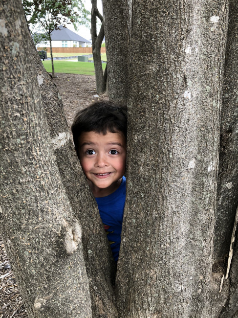 Peek-a-boo! I see you! Conner playing in the trees by our house.
