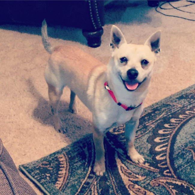 Charlie wanting the toy