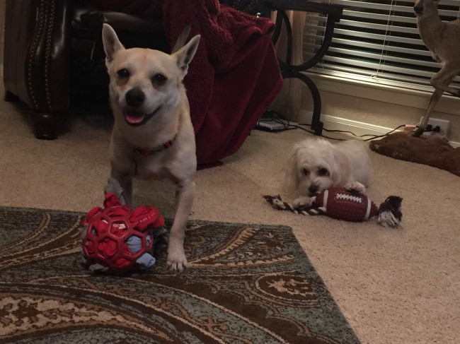 Playing with our favorite toys.