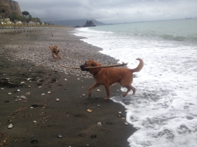 We love to go to the beach to play (especially Oliver)! When we go, we often bring games like bocce, play soccer with Oliver, and splash in the waves.
