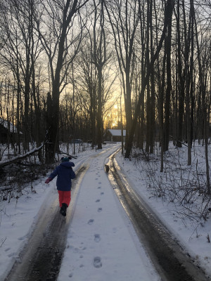 Snowy days!