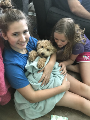 This is our first puppy, Rico. We all instantly fell in love with him and he's been such a joy for our whole family.