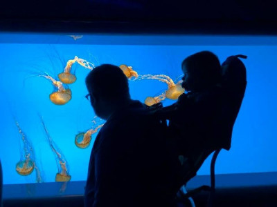 We love to go to aquariums and zoos and to visit historical sites- we try to be local tourists wherever we live.