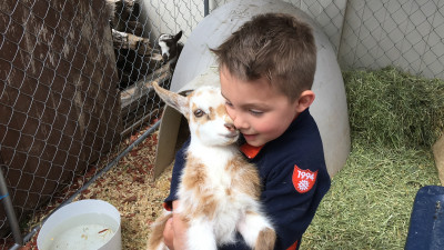 We love animals! Anytime we see one we have to stop and per it if we can. Banks asks a lot of questions about different animals and remembers quite a bit. He says he want to be a zoo keeper when he grows up.